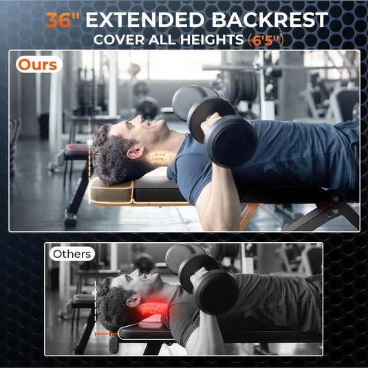 1000LBS Adjustable Weight Bench - Foldable Flat/Incline Bench for Home Gym Strength Training with 36" Backrest and Heavy - Duty Steel Frame - Rayspace