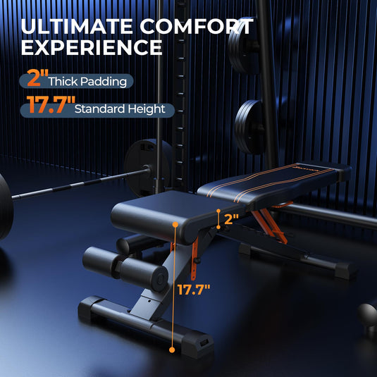 1000LBS Adjustable Weight Bench - Foldable Flat/Incline Bench for Home Gym Strength Training with 36" Backrest and Heavy - Duty Steel Frame - Rayspace