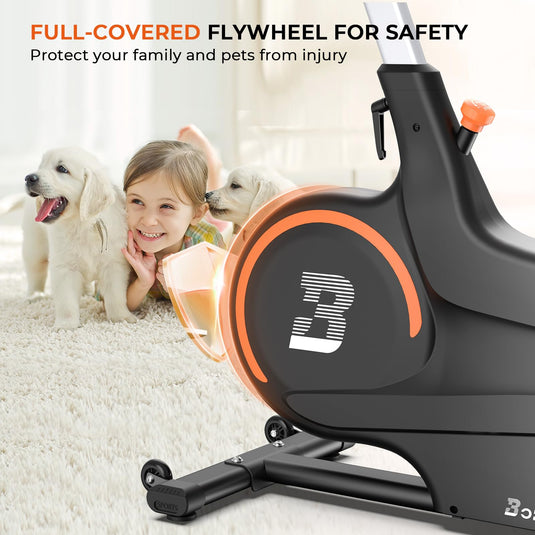 Magnetic Exercise Bike with 2 Seats - Silent Belt Drive Stationary Bike for Home Gym, 40LB Flywheel Indoor Cycling Bike for Workout Training - Rayspace