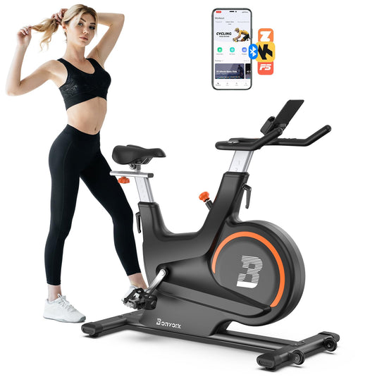 Magnetic Exercise Bike with 2 Seats - Silent Belt Drive Stationary Bike for Home Gym, 40LB Flywheel Indoor Cycling Bike for Workout Training - Rayspace