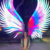 Perfect space saving and budget friendly treadmill.